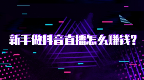 【副业2049期】抖音直播电商实战训练营-全套方法揭秘