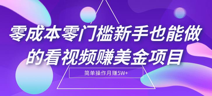 看视频赚美金项目