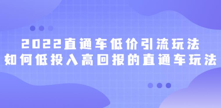 2022玩转直通车低价引流：低投入高回报的直通车玩法