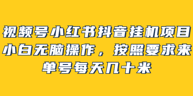 【副业2878期】副业挂机项目：视频号小红书抖音小白无脑操作，单号每天几十米