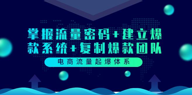 流量增长运营：掌握流量密码+建立爆款系统+复制爆款团队（价值599）