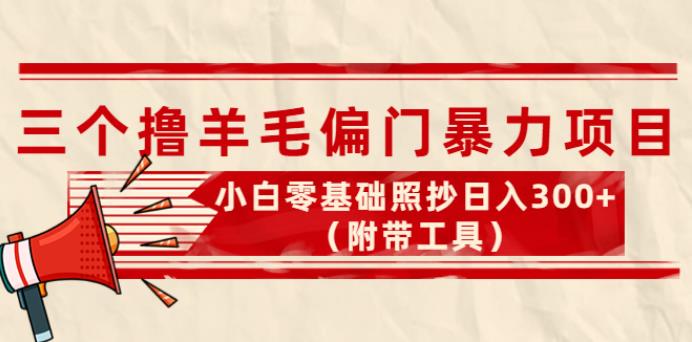 最新撸羊毛副业项目三个：小白零基础照抄日入300+（附带工具）